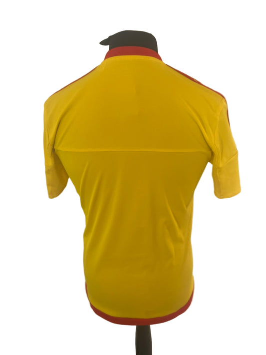Wales 2015-16 away football shirt, adidas, small, yellow, back