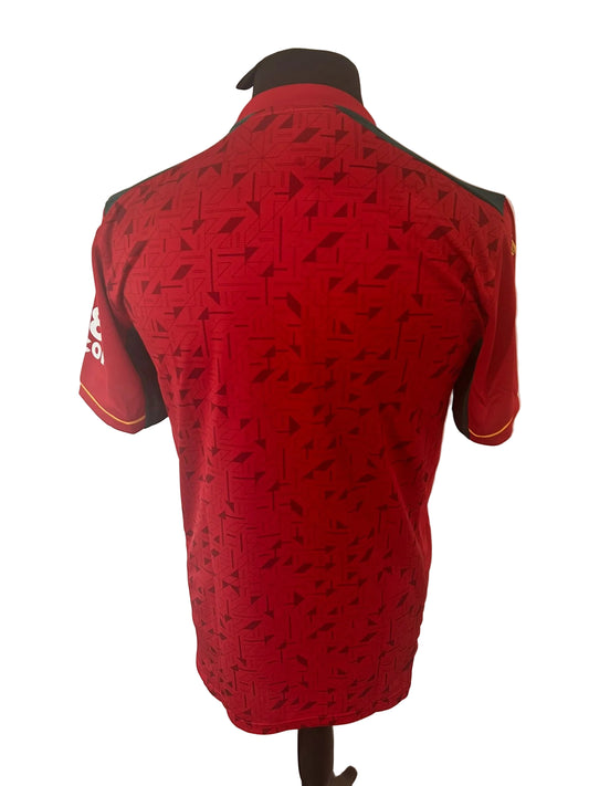 Wolverhampton Wanderers, Wolves 2023-24 away football shirt, red, medium, Castore, back