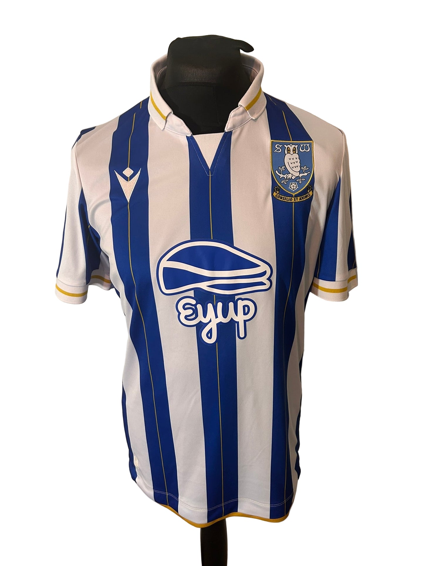 Sheffield Wednesday 2023-24 home football shirt, Macron, large, blue and white, stripes, front