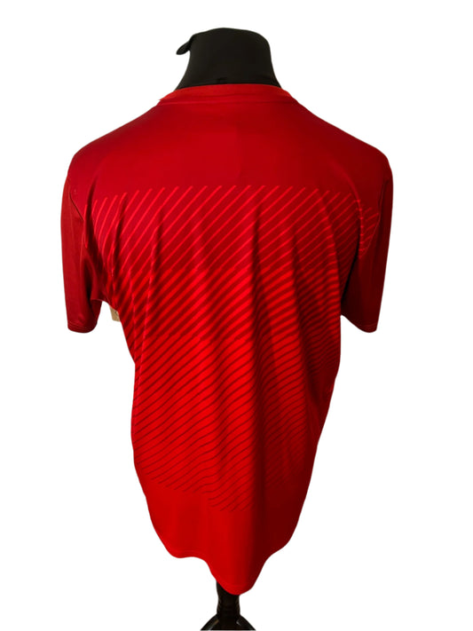 Austria 2016-17 Home Football Shirt Extra Large XL Puma