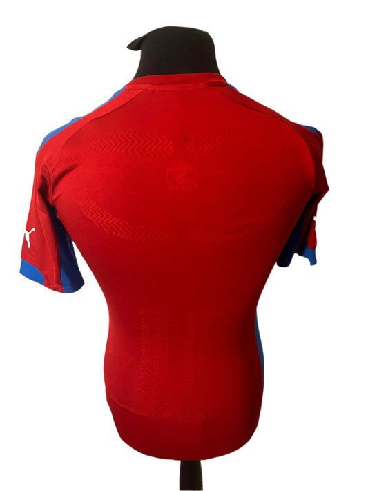 Czech Republic 2014-15 PLAYER ISSUE Home Football Shirt Small Puma