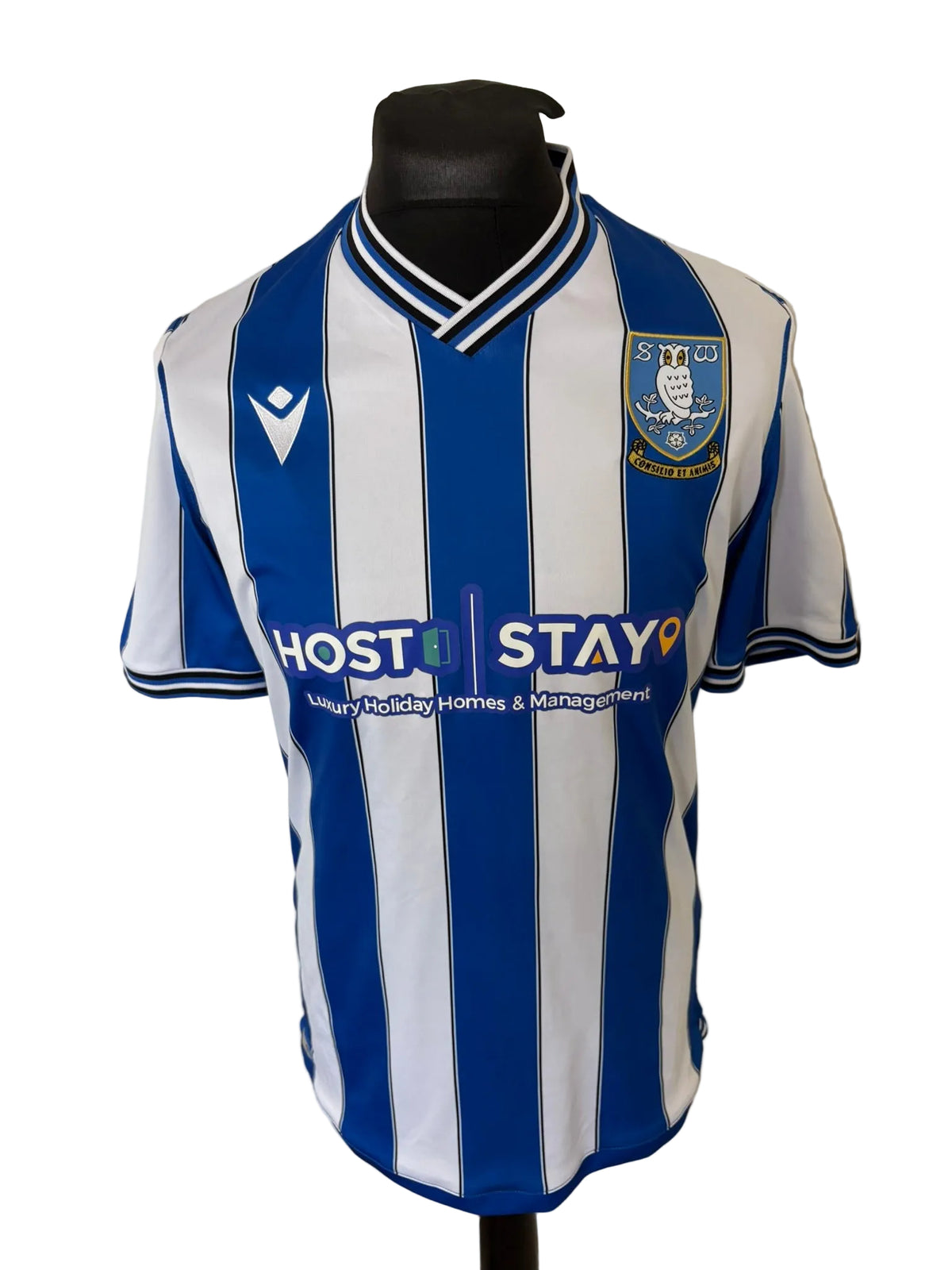 Sheffield Wednesday 2022-23 home football shirt, blue and white, Large, Macron, front