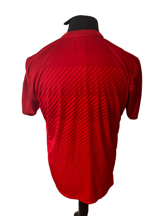 Austria 2016-17 home football shirt, red, Large, Puma, back