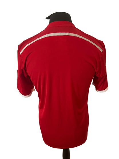 Wales 2014-15 home football shirt, red, medium, Adidas, back